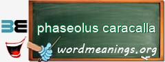 WordMeaning blackboard for phaseolus caracalla